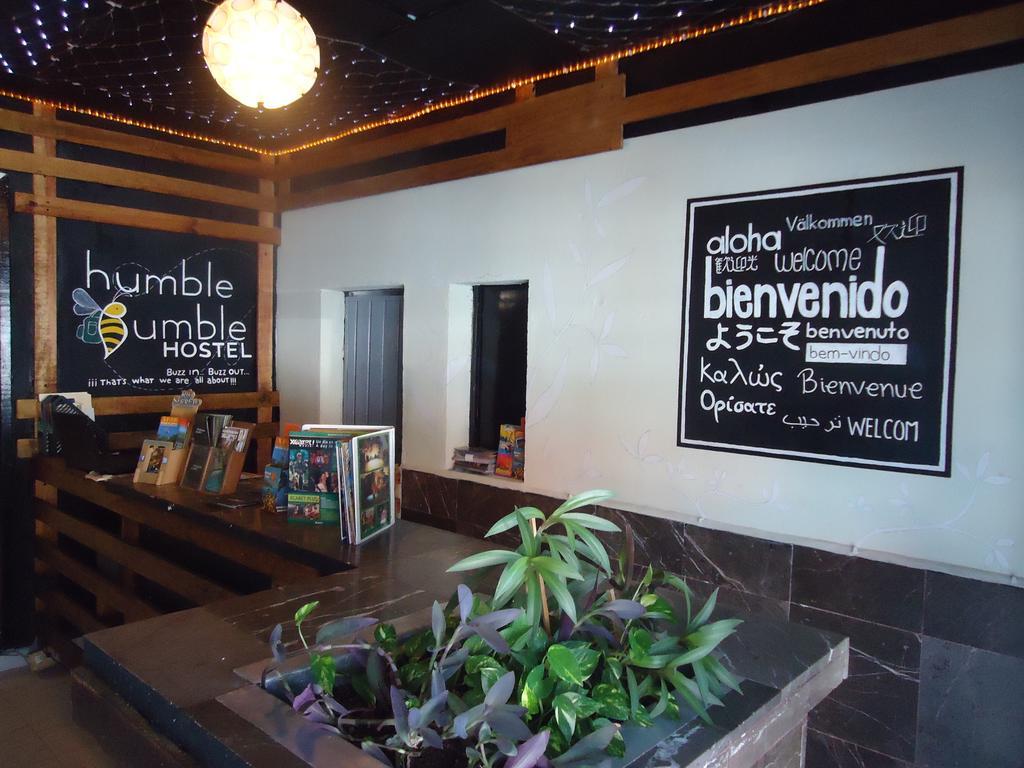 Humble Bumble Hostel Плая-дель-Кармен Экстерьер фото