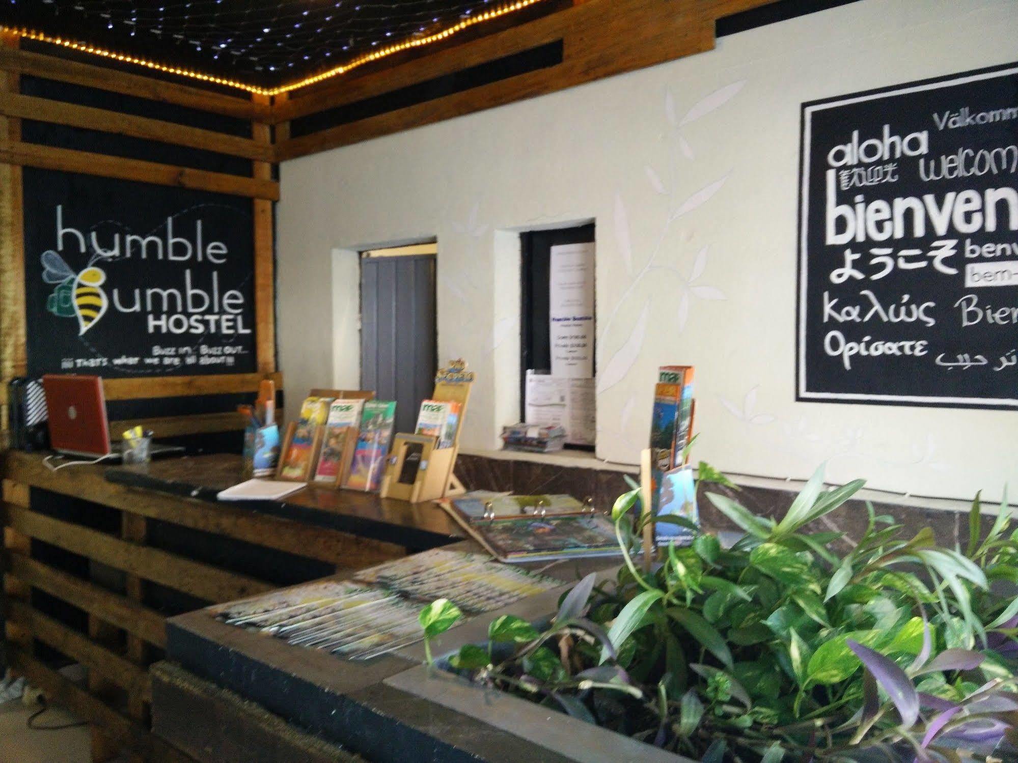 Humble Bumble Hostel Плая-дель-Кармен Экстерьер фото