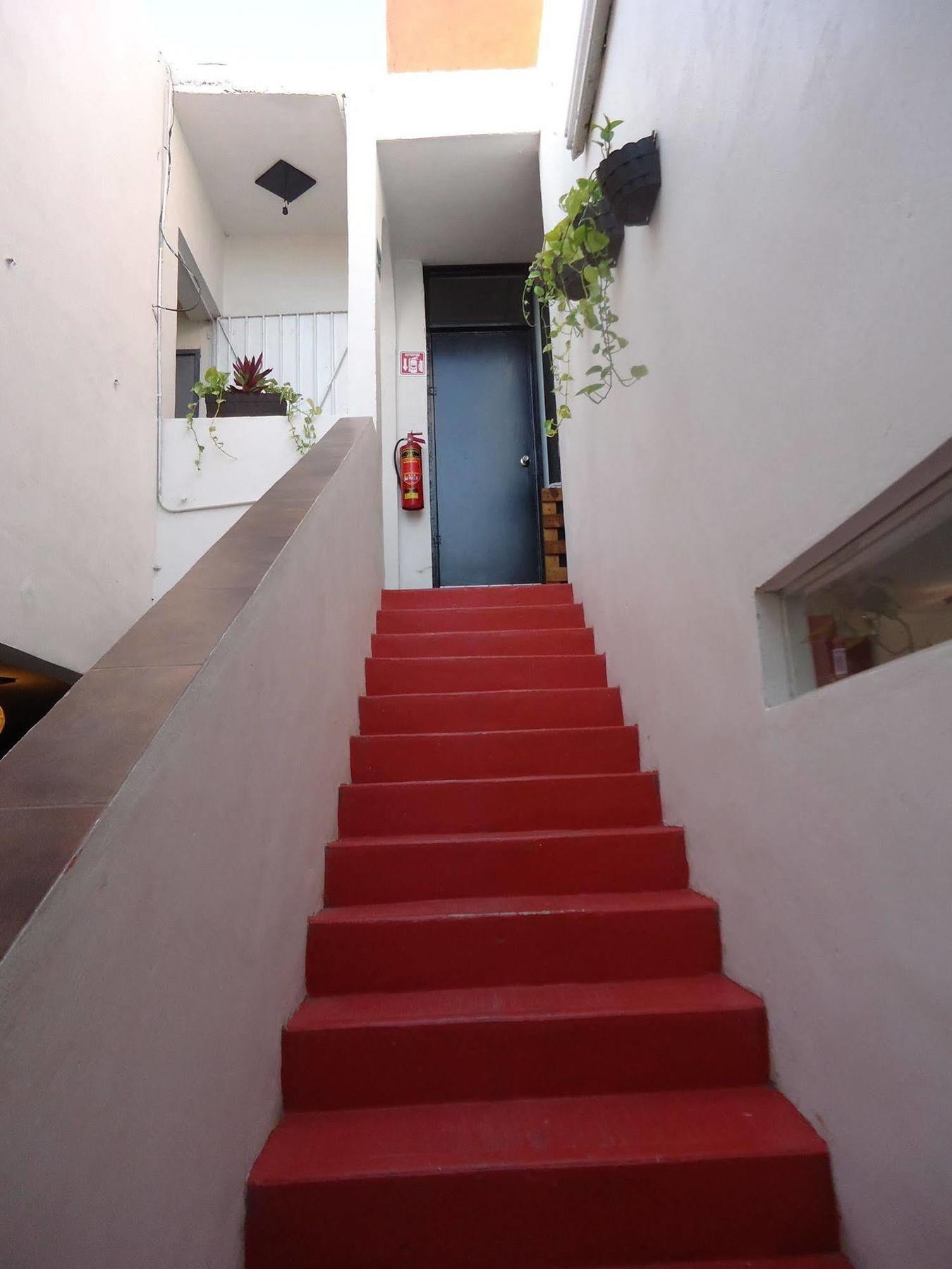 Humble Bumble Hostel Плая-дель-Кармен Экстерьер фото