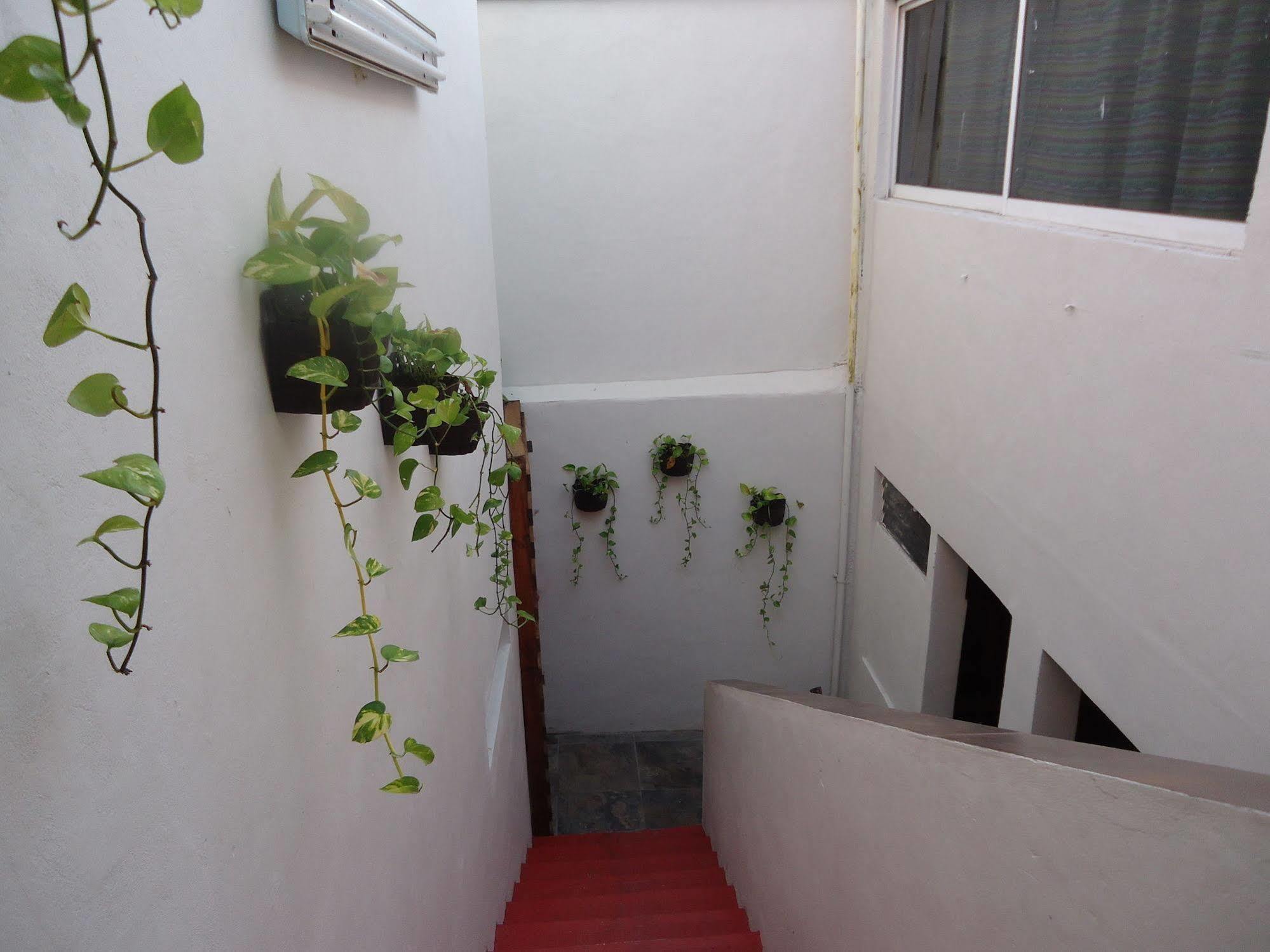 Humble Bumble Hostel Плая-дель-Кармен Экстерьер фото